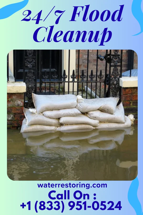 24/7 Flood Cleanup in Martinez, GA